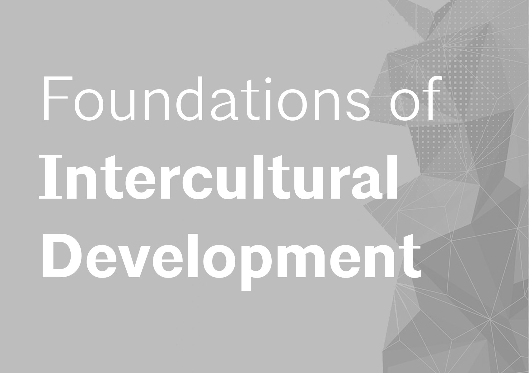 Foundations of Intercultural Development (Summer Offering)