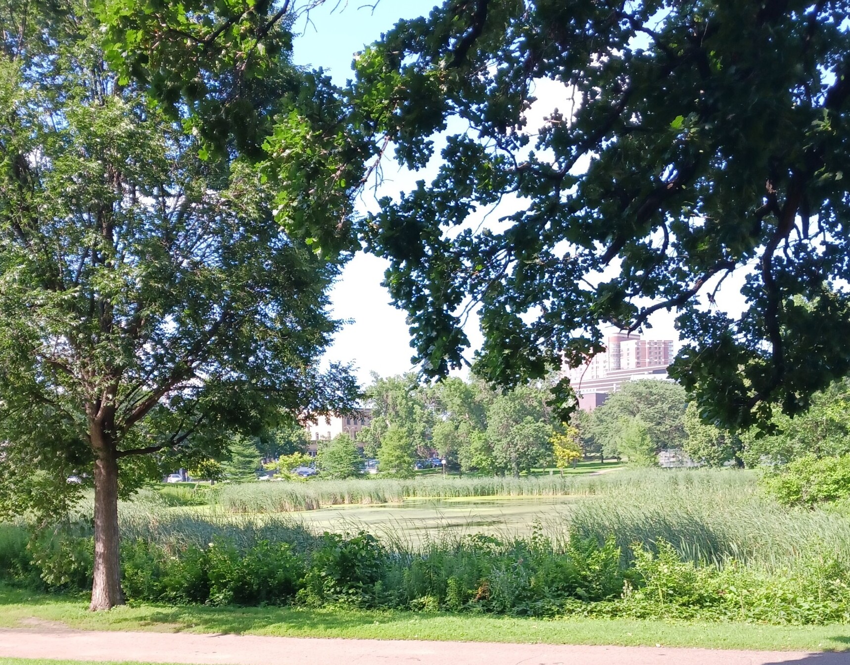 AIA MN Equity in the Built Environment Experiential Assessment & Tour