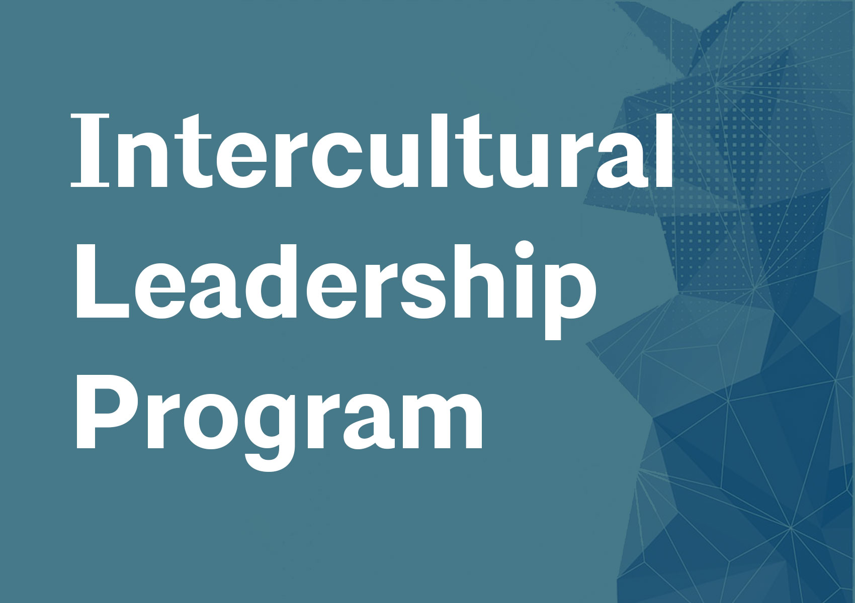 National Intercultural Leadership Program