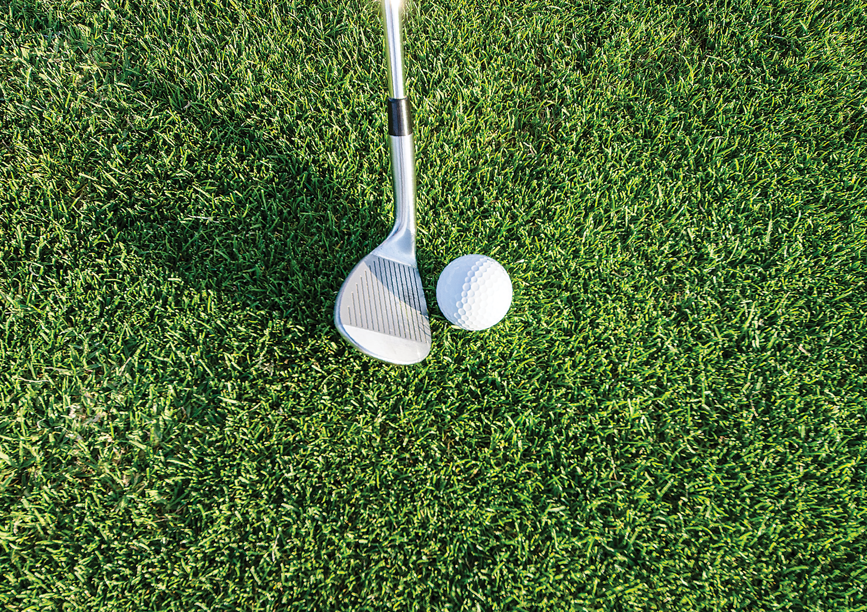 AIA Northern Minnesota Golf Fundraiser